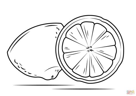 lemon cross section coloring page  printable coloring pages