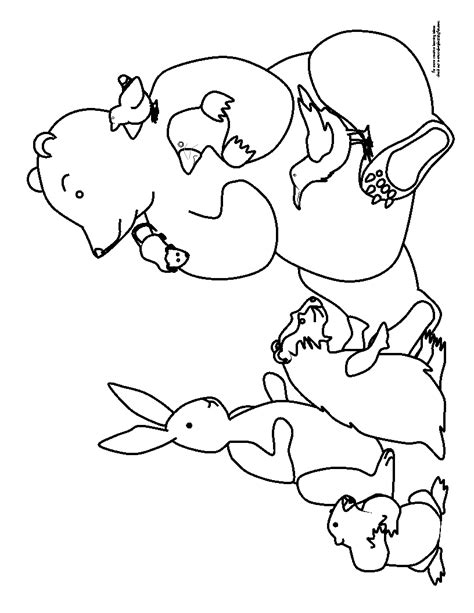 animal hibernation preschool coloring page sketch coloring page