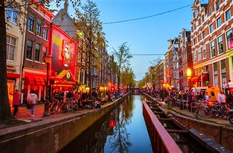 15 best amsterdam tours the crazy tourist