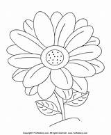 Coloring Daisy Flowers Crafts Activities Big sketch template
