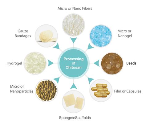 An Overview Properties And Biomedical Applications Of Chitosan
