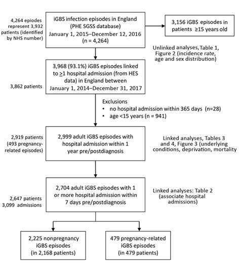 Figure 1 Invasive Group B Streptococcus Infections In Adults England