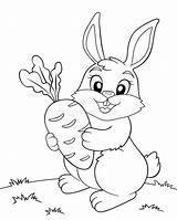 Bunny sketch template