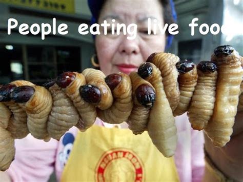 people eating  food compilation  youtube