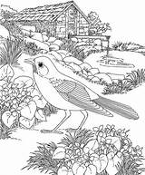 Coloring Pages Robin Bird Flower Purplekittyyarns Printable Wisconsin State Adult sketch template