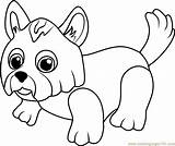 Terrier Parade Coloringpages101 sketch template