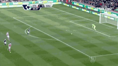Championship result, final score and reaction. Football GIF: Stoke Keeper Asmir Begovic Scores After 18