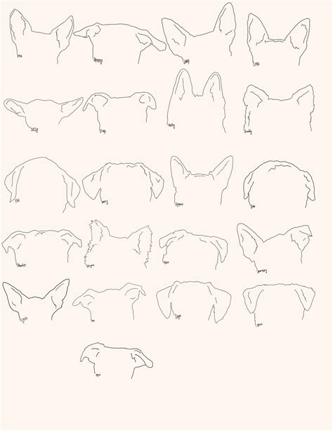 custom dog ear outlinepet ear outline pet ear silhouette etsy uk