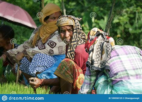 Chitwan Nepal September 2020 Nepali Village Women Working In The