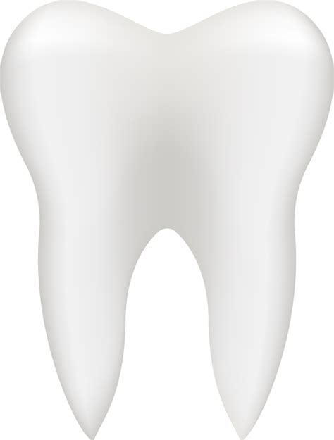 dental pngs