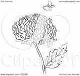 Butterfly Chrysanthemum Flower Clipart Outlined Coloring Cartoon Picsburg Vector Royalty Illustration sketch template