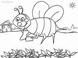 Bee Hummel Bumble Ausmalbild Malvorlagen Cool2bkids Coloringpagesfortoddlers sketch template
