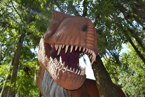 dinosaur world   orlandoall  orlando