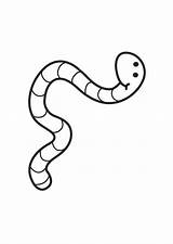Worm Clipart Drawings Worms Coloring Cartoon Pages Clip Cliparts Gusano Dibujo Printable Realistic Mealworm Library High Popular Print Edupics sketch template