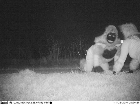 Police Find Hilarious Photos On Trail Camera