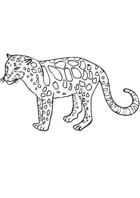 baby cheetah coloring pages