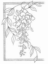 Wisteria Embroidery Coloring Pages Patterns Vine Ribbon Line Silk Hand Simple Template Flowers sketch template