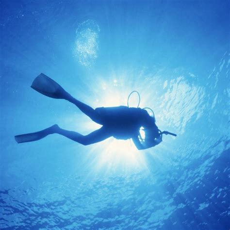 10 best scuba diving wallpaper high resolution full hd 1080p for pc desktop 2019