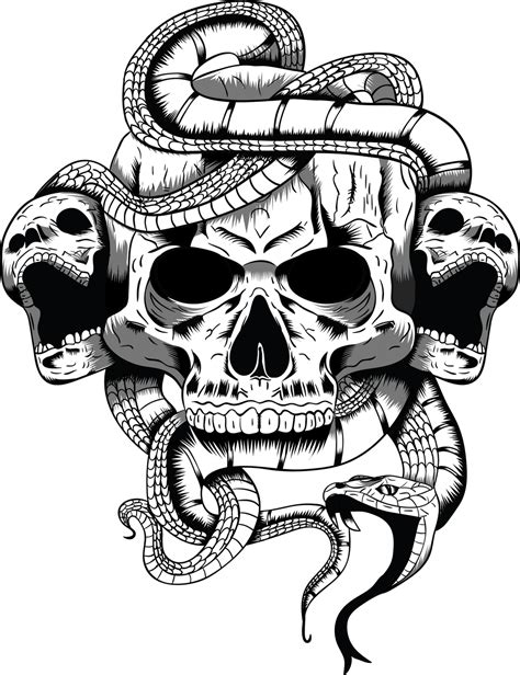 skull illustration  arrtman  deviantart