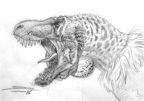tyrannosaurus rex  paleopastori dinosaur drawing dinosaur art