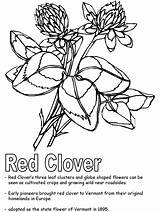 Clover Coloring Red Flower Vermont Gif Popular Library Clipart Ws Kidzone Geography Usa sketch template