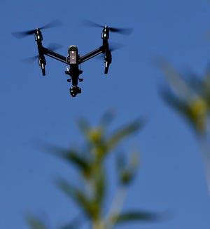 rules  drones  oregon state parks coast coming  summer