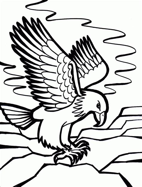 birds coloring pages  knowing  kind  birds  coloring pages