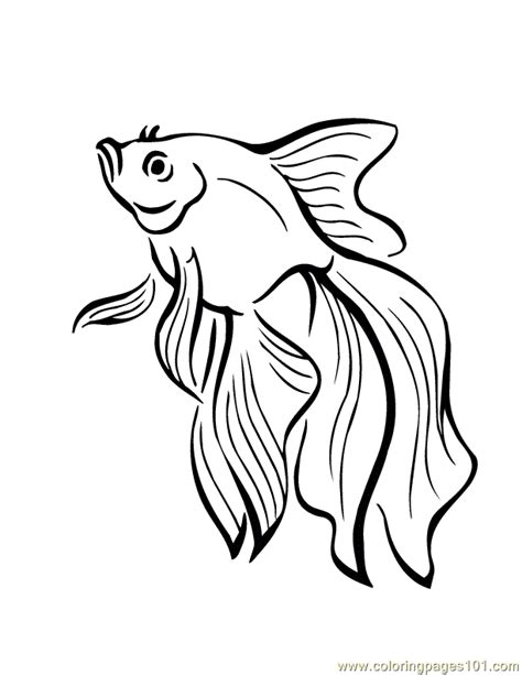fish coloring page  printable coloring pages fish coloring page
