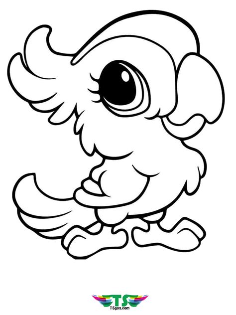 preview image coloring pages birds canary