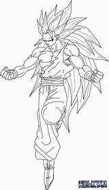 Coloring Goku Pages Super Saiyan God Ssj3 Comments Library Clipart Coloringhome sketch template