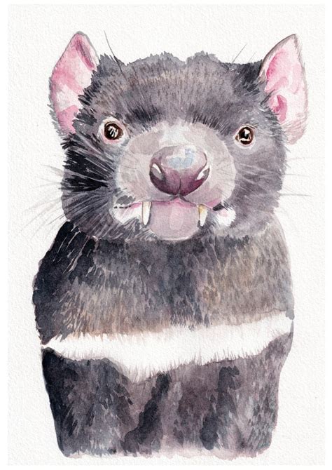 tasmanian devil art watercolour animal art nursery wall art etsy