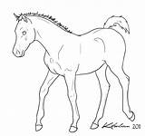 Foal Lineart Deviantart Horse Coloring Line Drawing Drawings Pages Colouring Choose Board sketch template
