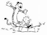 Calvin Hobbes Coloring Tiger Pages Printable Stencils Comics Sheet Wallpaper Sketch Clipart Cute Sheets Colouring Desktop Color Characters Line Background sketch template