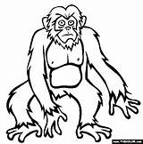 Coloring Bigfoot Pages Library Clipart Cartoon sketch template