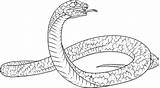 Mamba Colorare Schlange Disegni Schwarze Lampropeltis Step Sketch Cobra Bambini Dragoart Anaconda sketch template