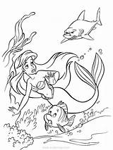 Coloring Pages Mermaid Ariel Shark Little Following Coloriage Color Sharks Princess Print Colouring La Disney Xcolorings May 1100px 109k 825px sketch template
