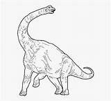 Brachiosaurus Jurassic sketch template