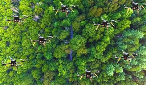 drone fleet  search  dense forests  gps