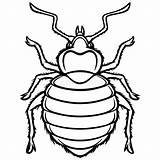 Bedbug Wanzen Grafik Lupe Illustrationen Clipground sketch template