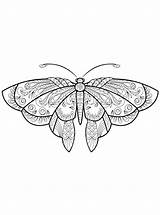 Moeilijk Vlinders Schwer Schmetterlinge Ausmalbilder Vlinder sketch template