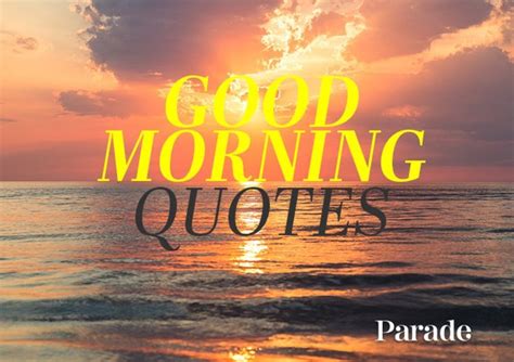 great quotes  start  day harley marguerite