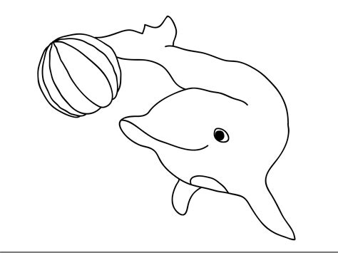 printable dolphin coloring pages coloringmecom
