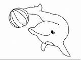 Dolphin Coloring Pages Dolphins Color Colour Printable Kids Print Drawing Template Animals Cute Book Ball Sheets Water Delfin Colouring Cartoon sketch template