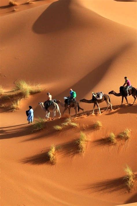 92 Best Images About Deserts On Pinterest