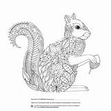 Coloring Pages Forest Colouring Enchanted Adults Printable Squirrel Adult Book Designs Sheets Grown Fabriano Boutique Playroom Detailed Intheplayroom Competition Everythingetsy sketch template