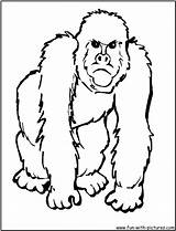 Coloring Pages Gorilla Animal Animals Zoo Clipart African Printable Templates Color Ape Printables Clip Big Kids Jungle Sheets Face Five sketch template