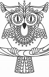Seniors Visually Impaired Owls Mintz 1560 sketch template