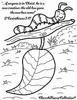 Caterpillar Corinthians Copyrighted sketch template