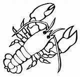 Lobster Crustaceans Marine Getcolorings Crayfish sketch template