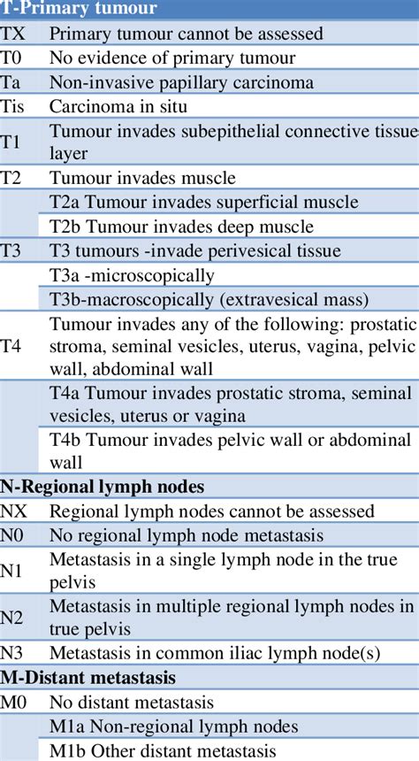 Tnm Classification Of Urinary Bladder Cancer Download Scientific Diagram